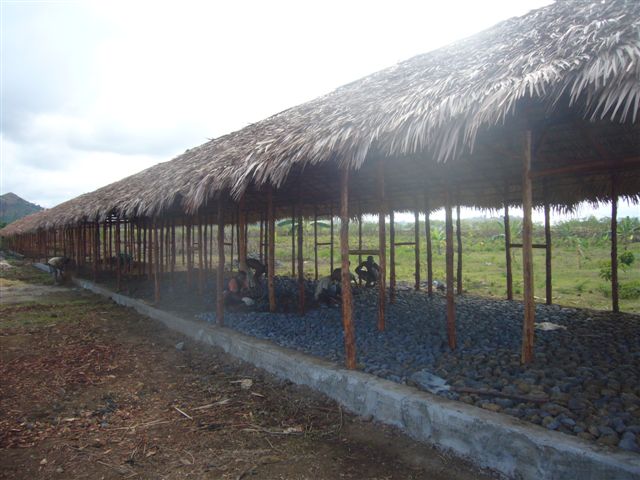 ampassindava va avanti 005.jpg (64076 byte)